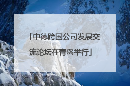 中德跨国公司发展交流论坛在青岛举行