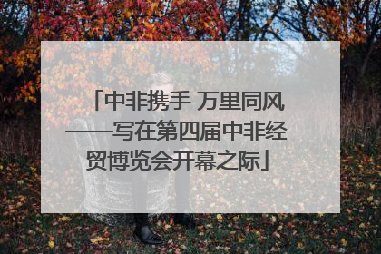 中非携手 万里同风——写在第四届中非经贸博览会开幕之际