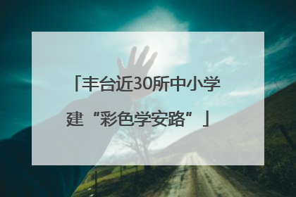 丰台近30所中小学建“彩色学安路”