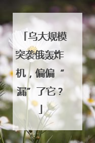 乌大规模突袭俄轰炸机，偏偏“漏”了它？