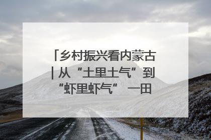 乡村振兴看内蒙古｜从“土里土气”到“虾里虾气” 一田双收模式火出圈