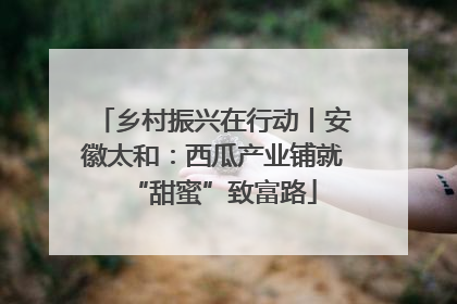 乡村振兴在行动丨安徽太和：西瓜产业铺就“甜蜜”致富路