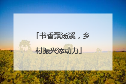 书香飘汤溪，乡村振兴添动力