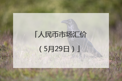 人民币市场汇价（5月29日）