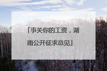 事关你的工资，湖南公开征求意见