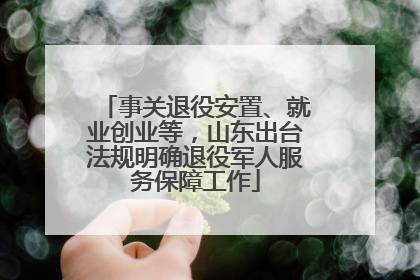 事关退役安置、就业创业等，山东出台法规明确退役军人服务保障工作