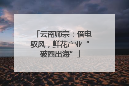 云南师宗：借电驭风，鲜花产业“破圈出海”