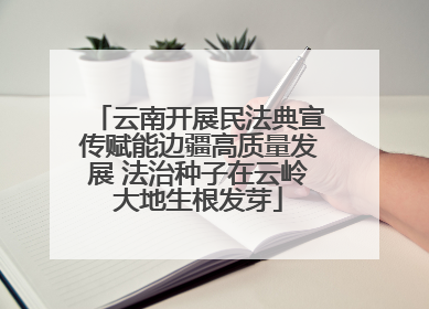 云南开展民法典宣传赋能边疆高质量发展 法治种子在云岭大地生根发芽