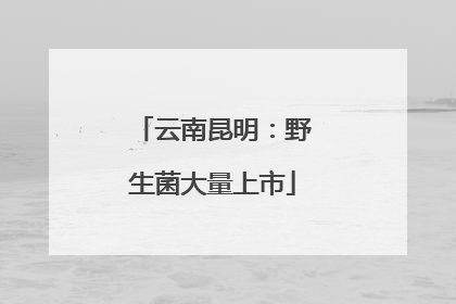 云南昆明：野生菌大量上市