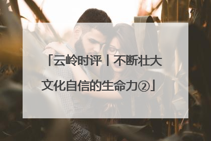 云岭时评丨不断壮大文化自信的生命力②