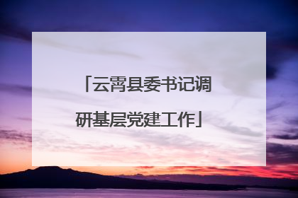 云霄县委书记调研基层党建工作