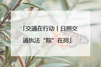 交通在行动丨日照交通执法“粽”在岗