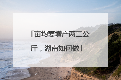 亩均要增产两三公斤，湖南如何做
