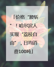 价格“腰斩”！哈尔滨人实现“荔枝自由”，日均消费100吨