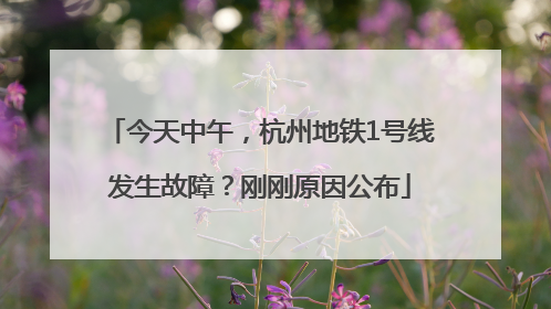 今天中午，杭州地铁1号线发生故障？刚刚原因公布