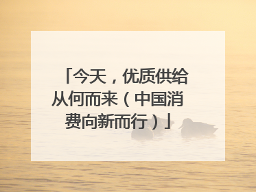 今天，优质供给从何而来（中国消费向新而行）