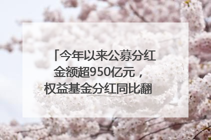 今年以来公募分红金额超950亿元，权益基金分红同比翻倍｜招财猫