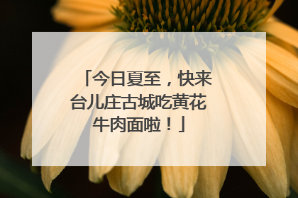 今日夏至，快来台儿庄古城吃黄花牛肉面啦！