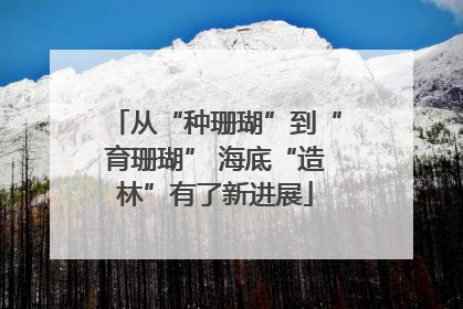 从“种珊瑚”到“育珊瑚” 海底“造林”有了新进展