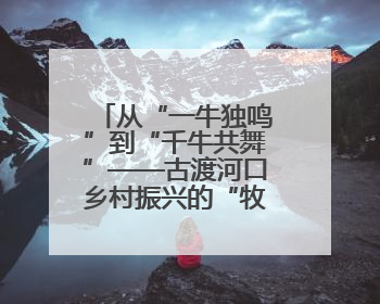 从“一牛独鸣”到“千牛共舞”——古渡河口乡村振兴的“牧场答卷”