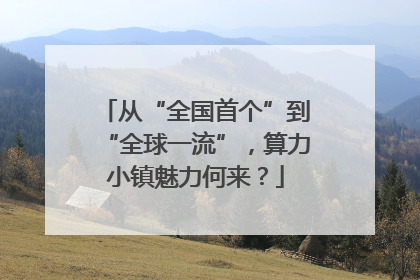 从“全国首个”到“全球一流”，算力小镇魅力何来？