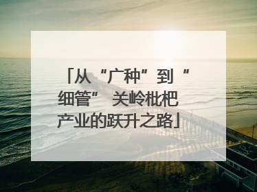从“广种”到“细管” 关岭枇杷产业的跃升之路