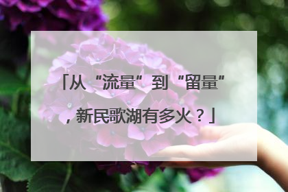 从“流量”到“留量”，新民歌湖有多火？