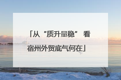 从“质升量稳” 看宿州外贸底气何在