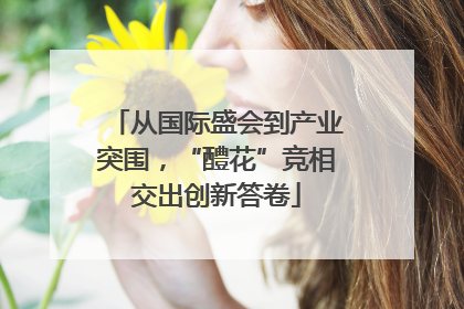 从国际盛会到产业突围，“醴花”竞相交出创新答卷