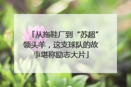 从拖鞋厂到“苏超”领头羊，这支球队的故事堪称励志大片