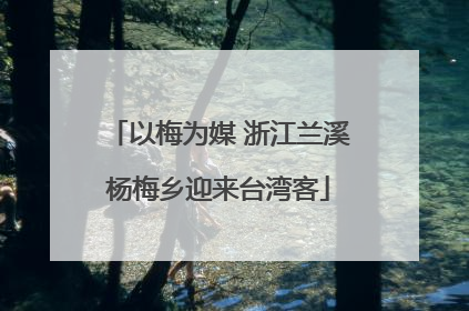 以梅为媒 浙江兰溪杨梅乡迎来台湾客