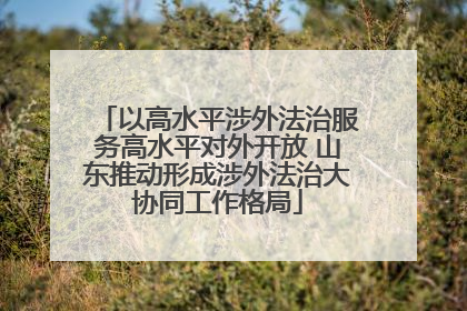 以高水平涉外法治服务高水平对外开放 山东推动形成涉外法治大协同工作格局