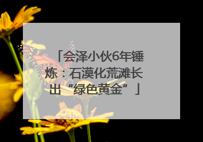 会泽小伙6年锤炼：石漠化荒滩长出“绿色黄金”