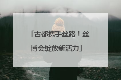 古都携手丝路！丝博会绽放新活力