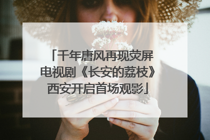 千年唐风再现荧屏 电视剧《长安的荔枝》西安开启首场观影