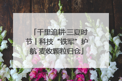 千里追耕·三夏时节丨科技“铁军”护航 麦收颗粒归仓