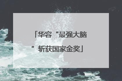 华容“最强大脑”斩获国家金奖