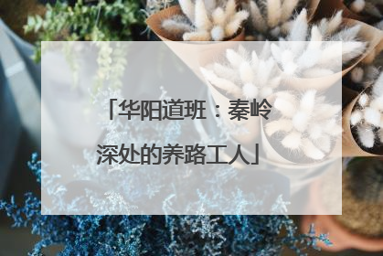 华阳道班：秦岭深处的养路工人