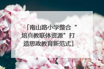 南山路小学整合“培真教联体资源”打造思政教育新范式