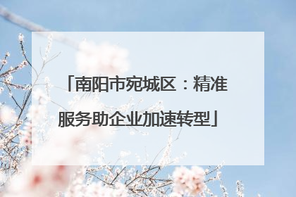 南阳市宛城区：精准服务助企业加速转型
