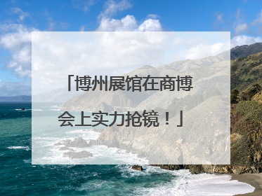 博州展馆在商博会上实力抢镜！