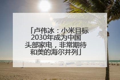 卢伟冰：小米目标2030年成为中国头部家电，非常期待和美的海尔并列