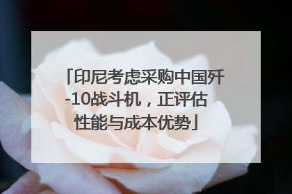 印尼考虑采购中国歼-10战斗机，正评估性能与成本优势