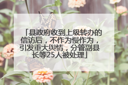 县政府收到上级转办的信访后，不作为慢作为，引发重大舆情，分管副县长等25人被处理