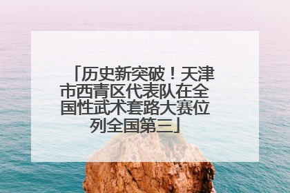 历史新突破！天津市西青区代表队在全国性武术套路大赛位列全国第三