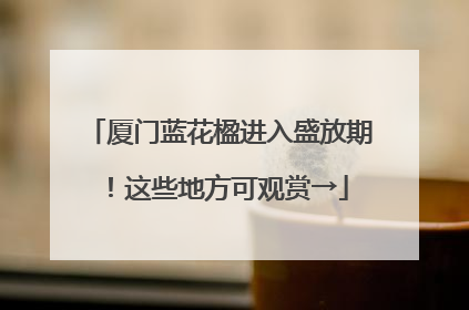 厦门蓝花楹进入盛放期！这些地方可观赏→