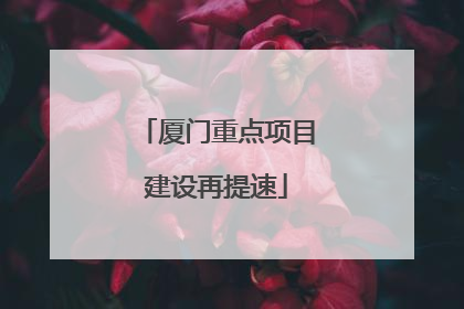 厦门重点项目建设再提速