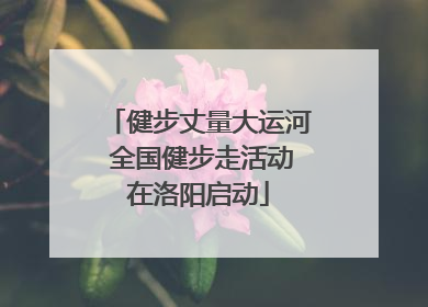 健步丈量大运河 全国健步走活动在洛阳启动