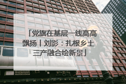 党旗在基层一线高高飘扬丨刘影：扎根乡土 三产融合绘新景