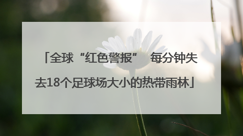 全球“红色警报”  每分钟失去18个足球场大小的热带雨林